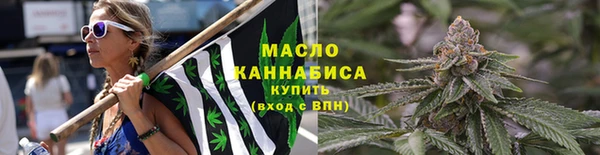дживик Володарск