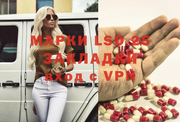 mdpv Бородино