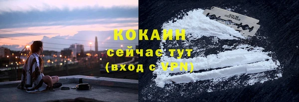 mdpv Бородино
